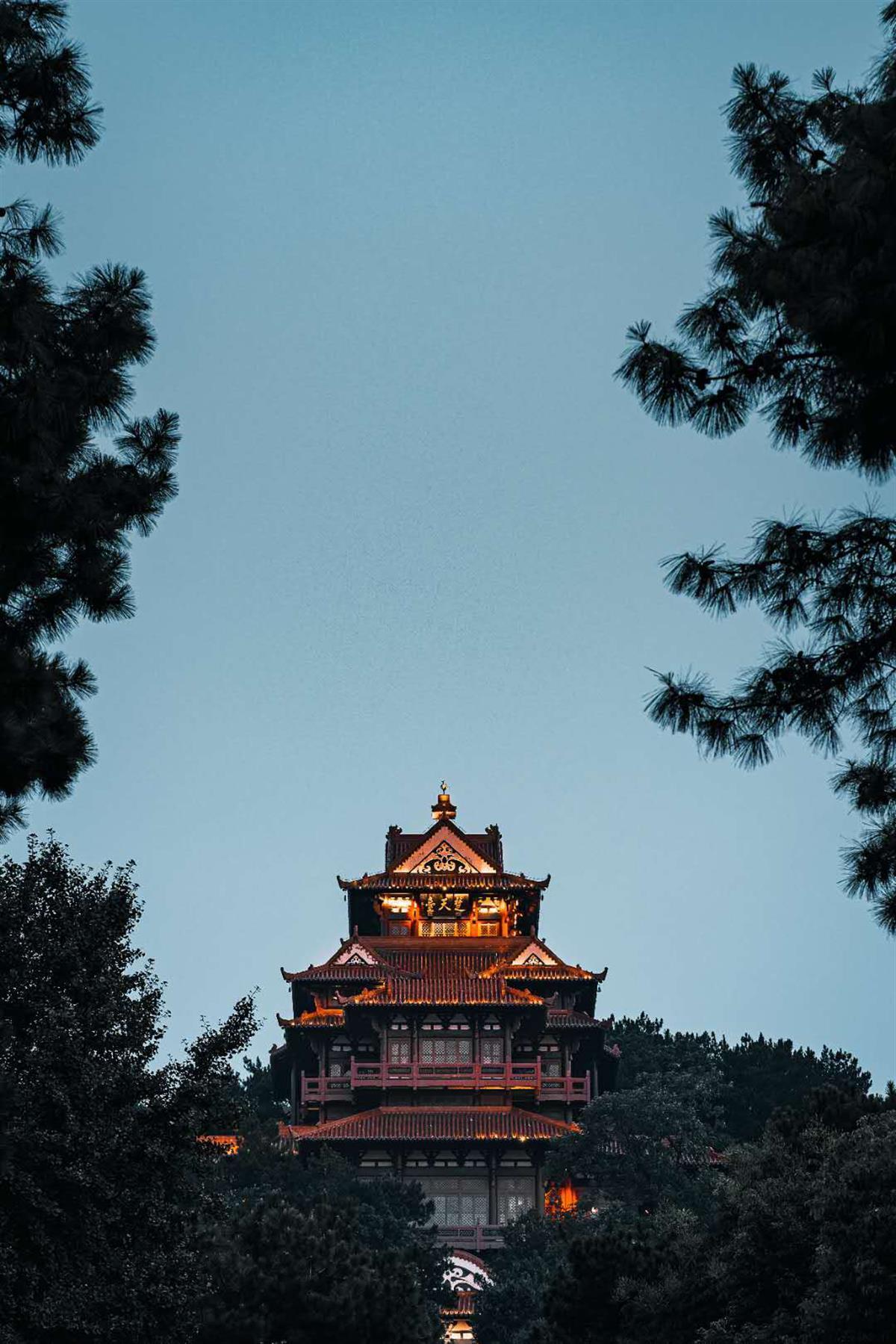 高美高官网
